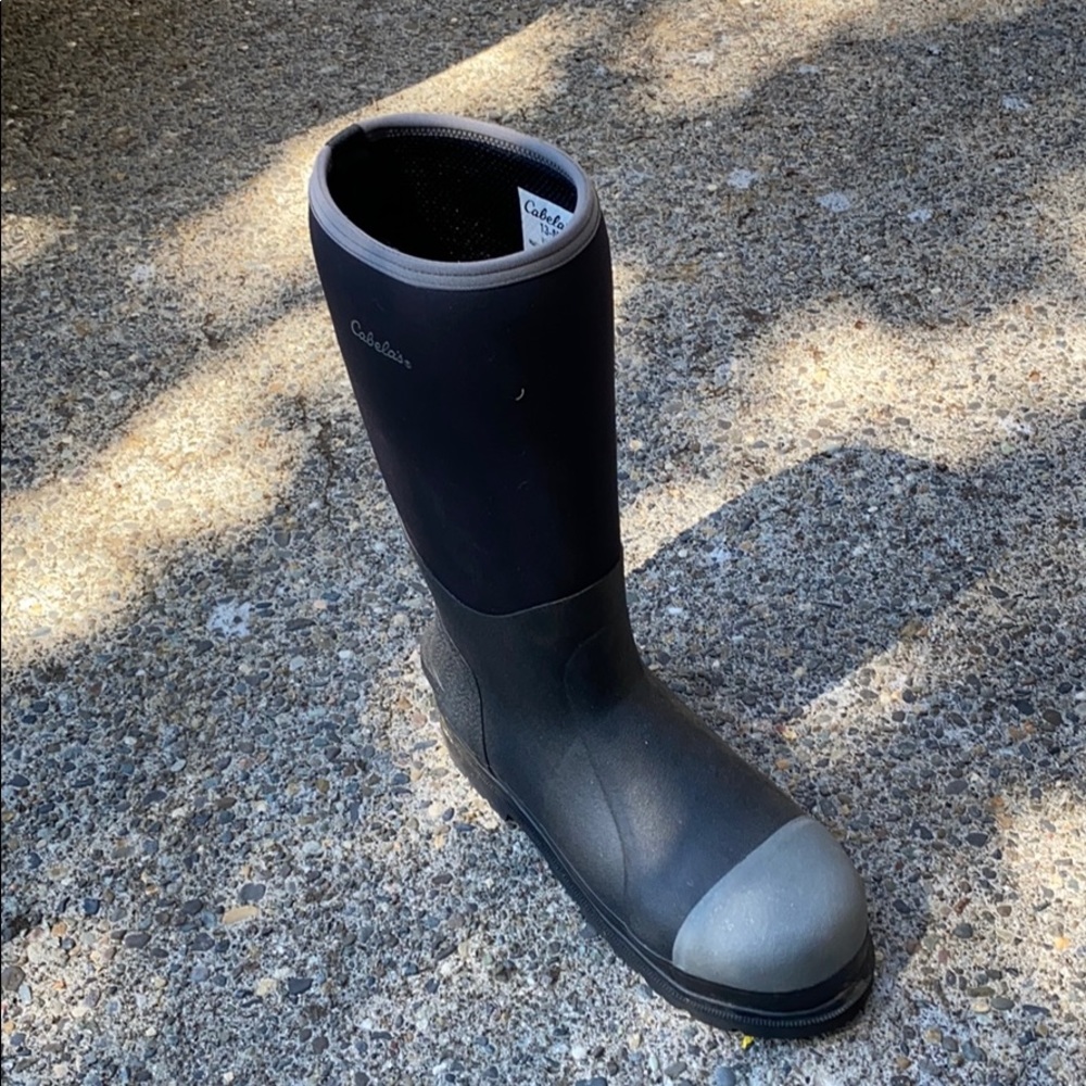 Cabelas roughneck boots